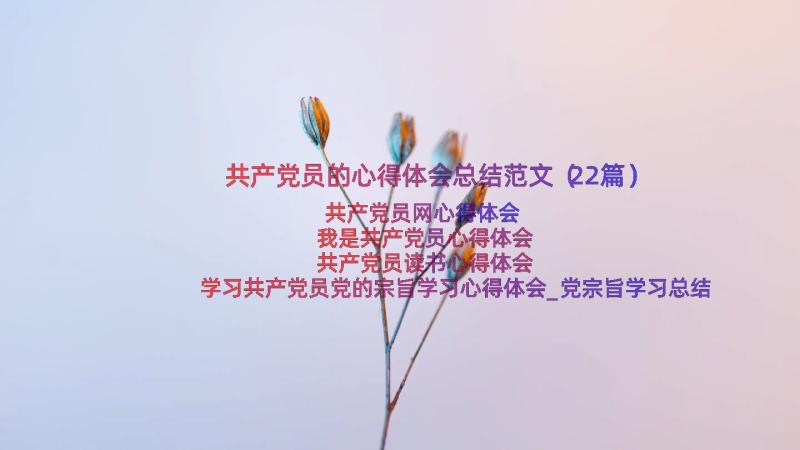 共产党员的心得体会总结范文（22篇）