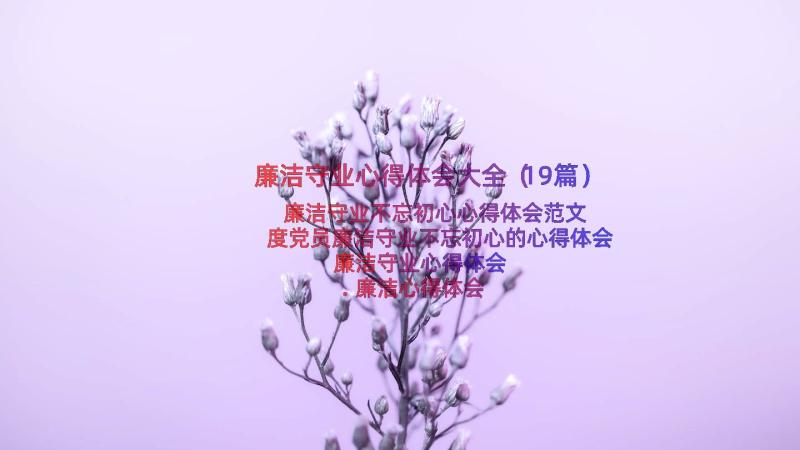 廉洁守业心得体会大全（19篇）