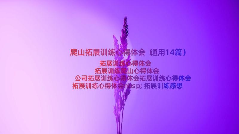 爬山拓展训练心得体会（通用14篇）