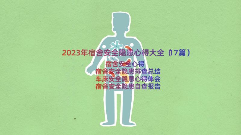 2023年宿舍安全隐患心得大全（17篇）