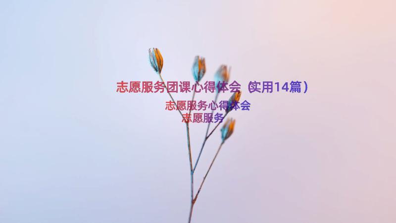 志愿服务团课心得体会（实用14篇）