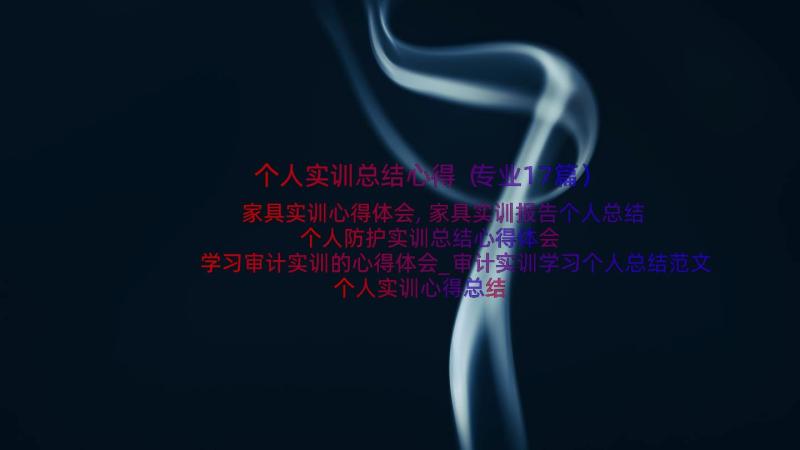 个人实训总结心得（专业17篇）