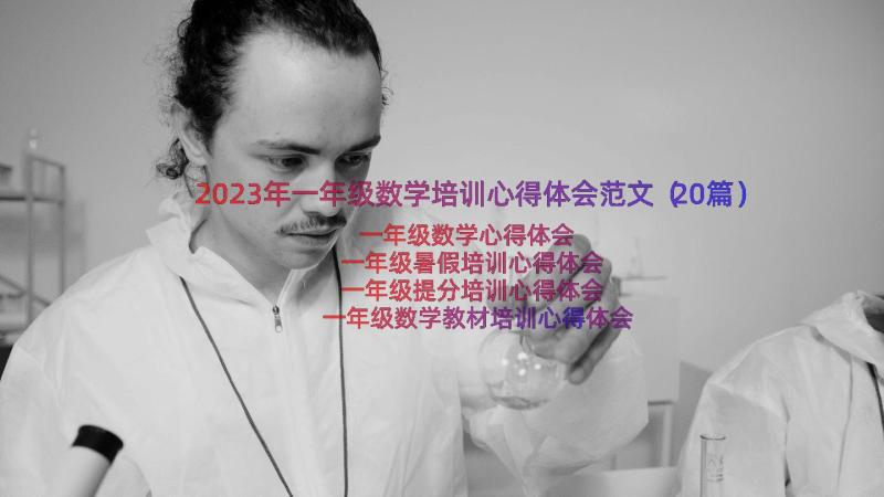 2023年一年级数学培训心得体会范文（20篇）