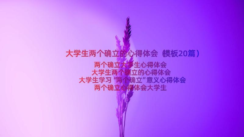 大学生两个确立的心得体会（模板20篇）