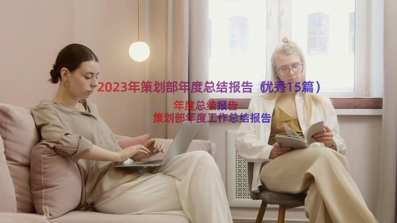 2023年策划部年度总结报告（优秀15篇）