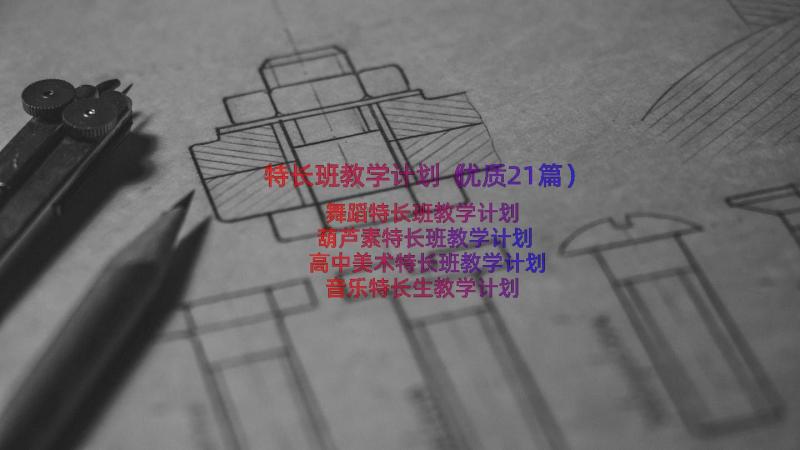 特长班教学计划（优质21篇）