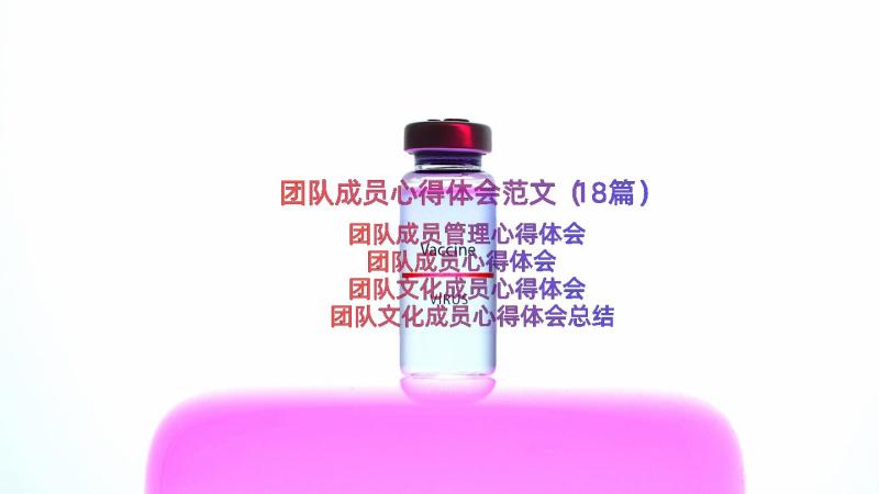 团队成员心得体会范文（18篇）