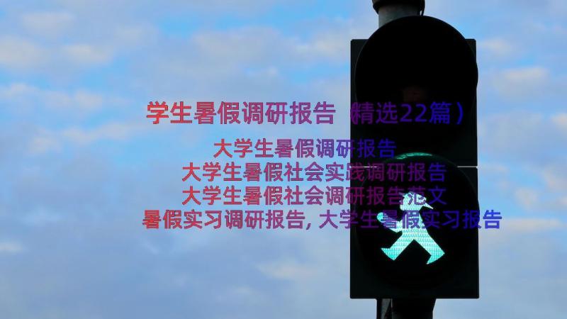 学生暑假调研报告（精选22篇）