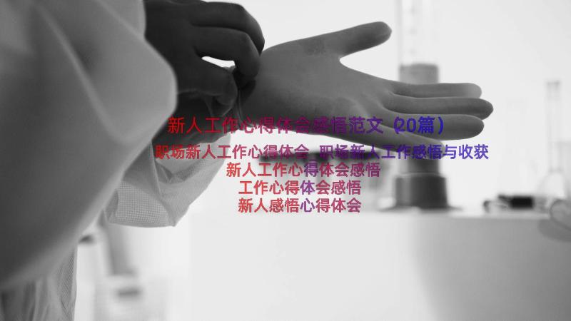 新人工作心得体会感悟范文（20篇）