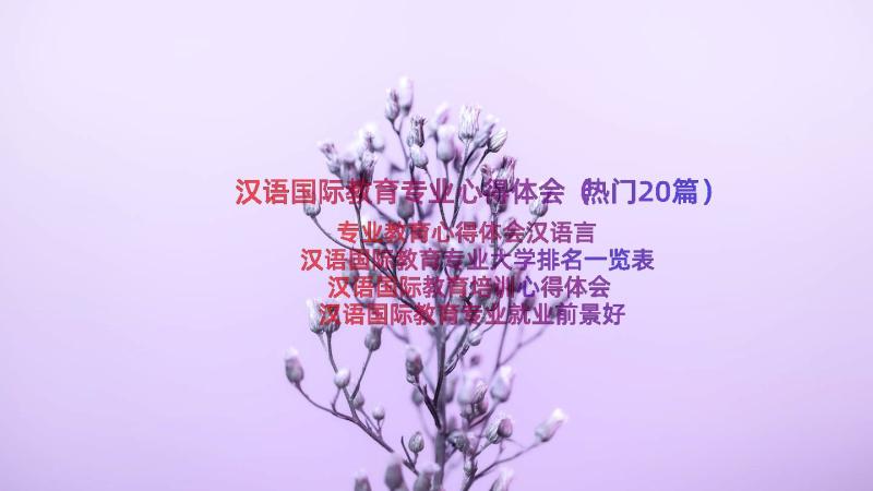 汉语国际教育专业心得体会（热门20篇）