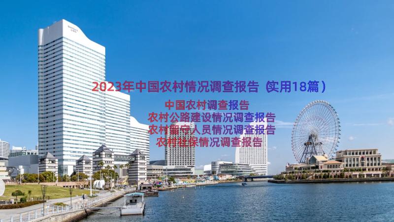 2023年中国农村情况调查报告（实用18篇）