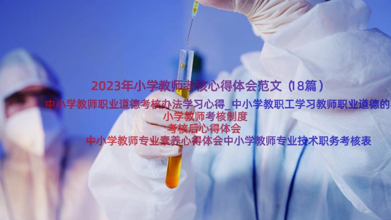 2023年小学教师考核心得体会范文（18篇）