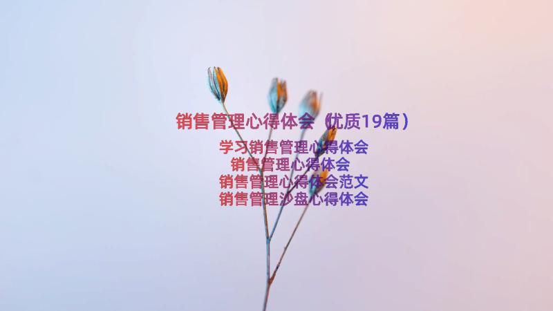 销售管理心得体会（优质19篇）