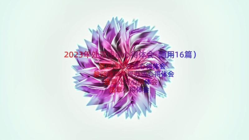 2023年处理违章心得体会（通用16篇）