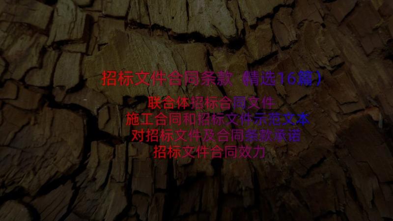 招标文件合同条款（精选16篇）