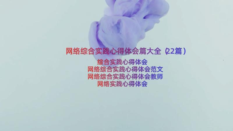 网络综合实践心得体会篇大全（22篇）