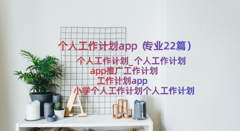 个人工作计划app（专业22篇）