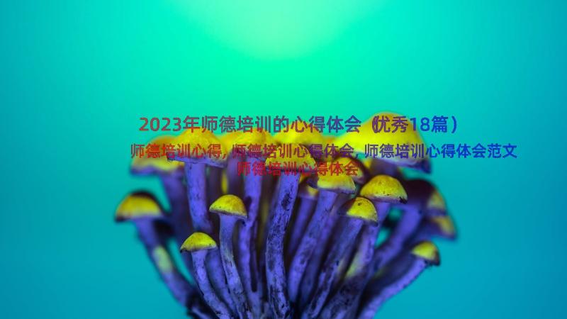 2023年师德培训的心得体会（优秀18篇）