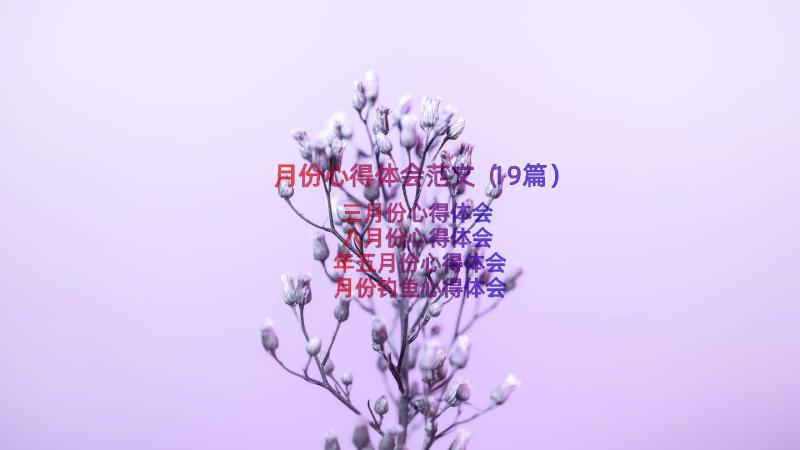 月份心得体会范文（19篇）