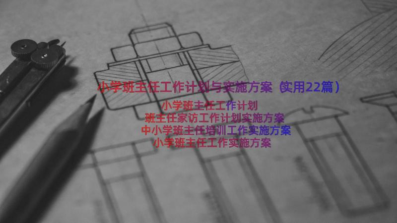 小学班主任工作计划与实施方案（实用22篇）