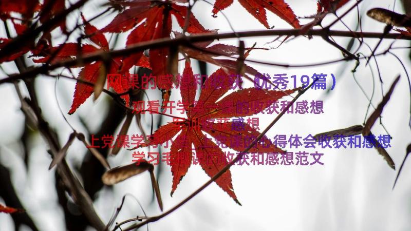 网课的感想和收获（优秀19篇）