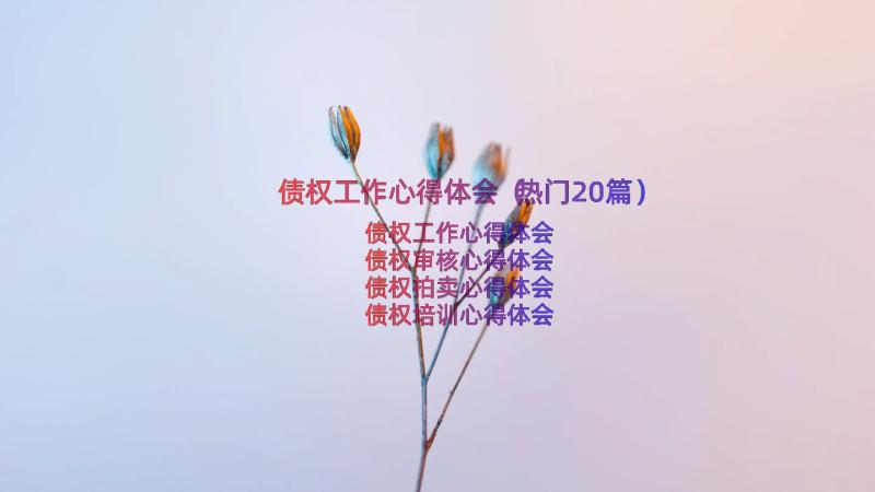 债权工作心得体会（热门20篇）