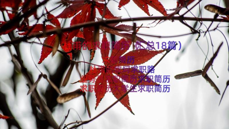 杜甫的求职简历（汇总18篇）