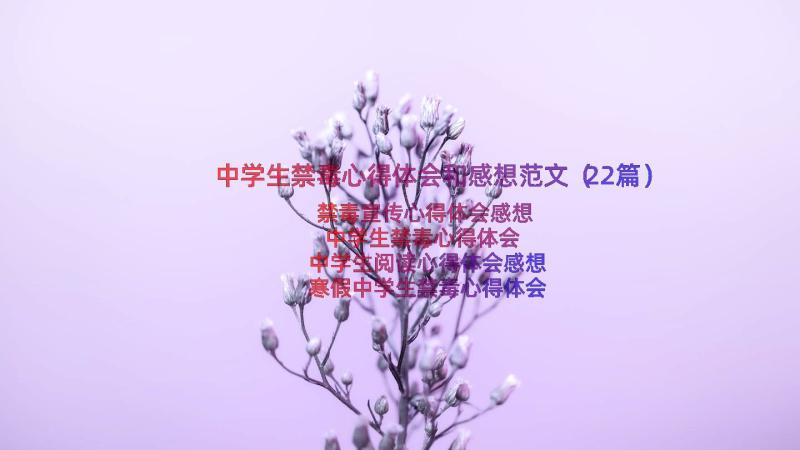 中学生禁毒心得体会和感想范文（22篇）