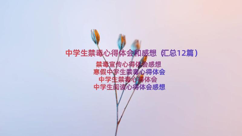 中学生禁毒心得体会和感想（汇总12篇）