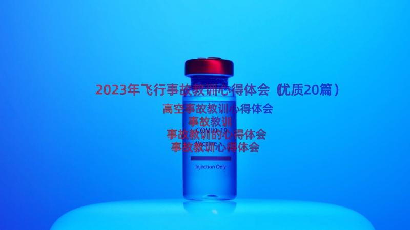 2023年飞行事故教训心得体会（优质20篇）