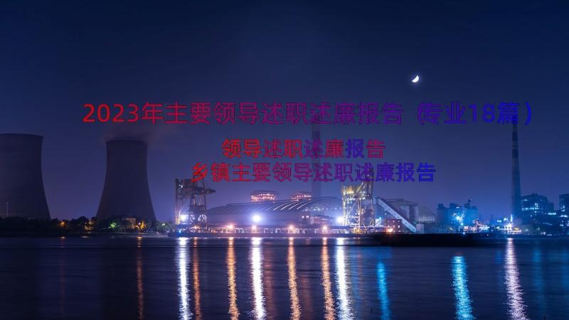 2023年主要领导述职述廉报告（专业18篇）