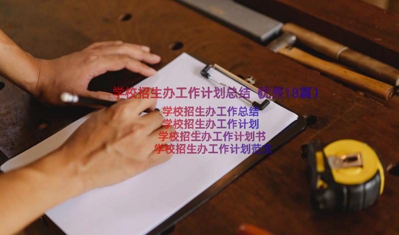 学校招生办工作计划总结（优秀18篇）