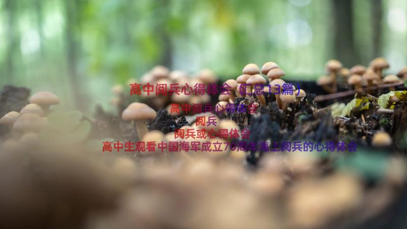 高中阅兵心得体会（汇总13篇）