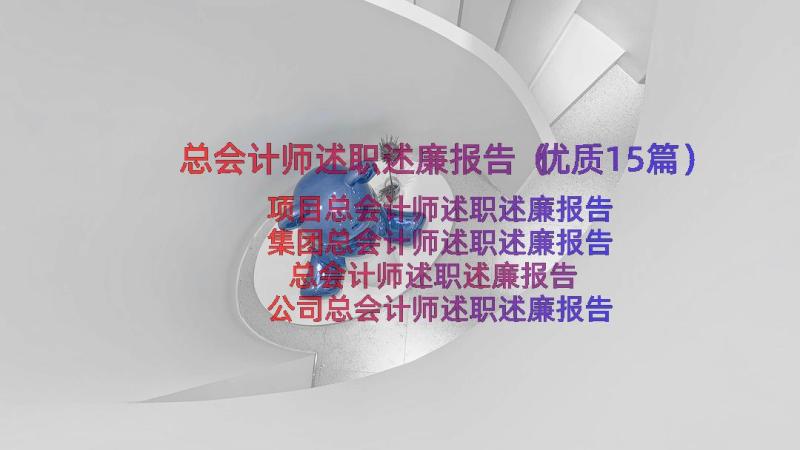 总会计师述职述廉报告（优质15篇）