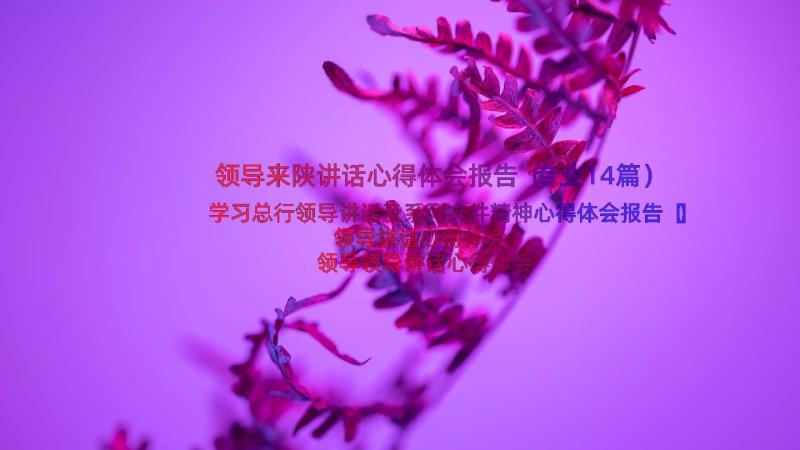 领导来陕讲话心得体会报告（专业14篇）