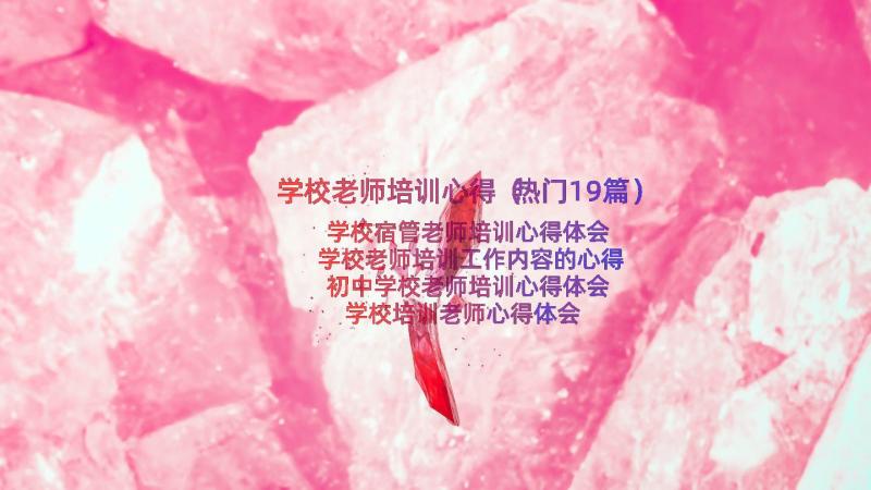 学校老师培训心得（热门19篇）