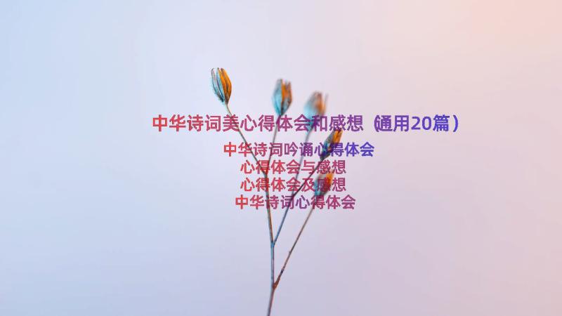中华诗词美心得体会和感想（通用20篇）