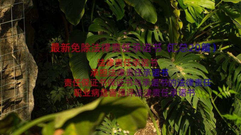 最新免除法律责任承诺书（汇总20篇）