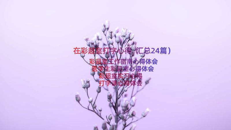 在彩超室打字心得（汇总24篇）