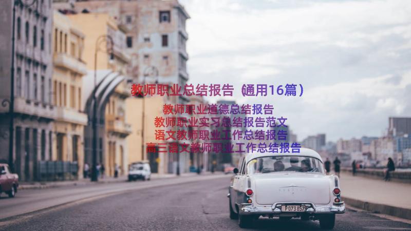 教师职业总结报告（通用16篇）