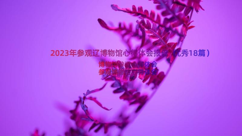 2023年参观辽博物馆心得体会报告（优秀18篇）