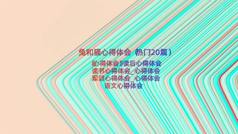 兔和猫心得体会（热门20篇）