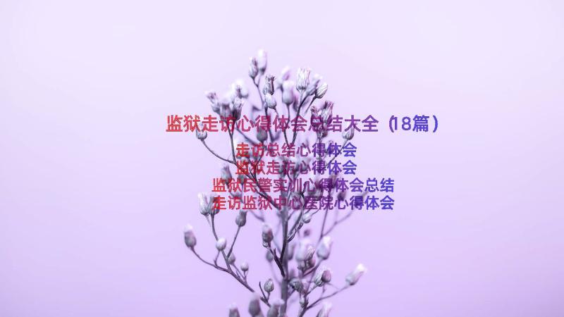 监狱走访心得体会总结大全（18篇）