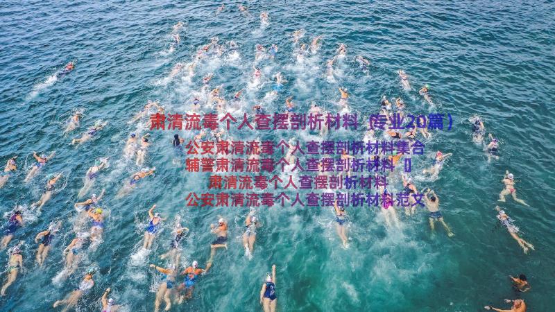 肃清流毒个人查摆剖析材料（专业20篇）