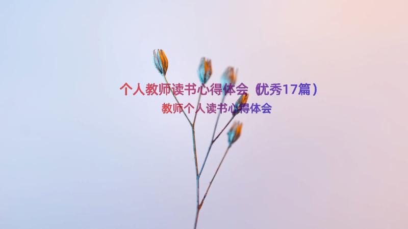 个人教师读书心得体会（优秀17篇）