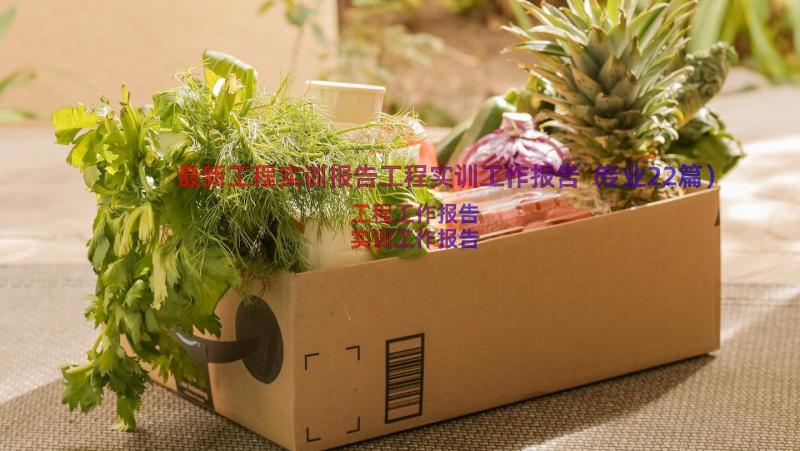 最新工程实训报告工程实训工作报告（专业22篇）