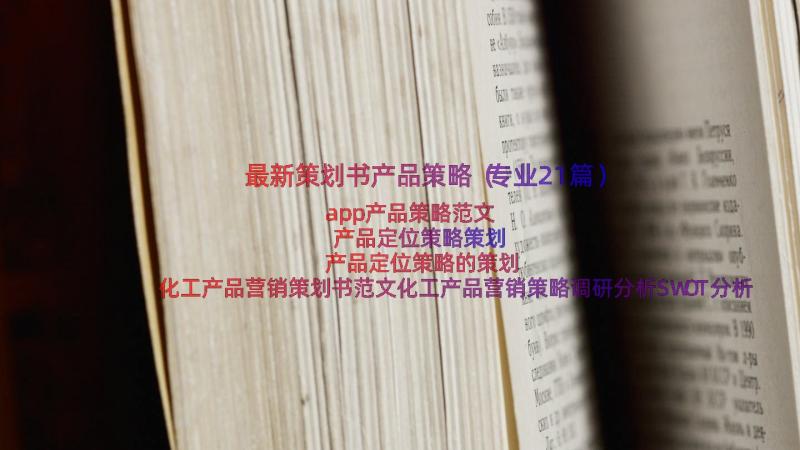 最新策划书产品策略（专业21篇）