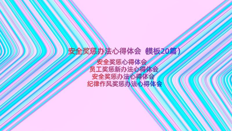 安全奖惩办法心得体会（模板20篇）