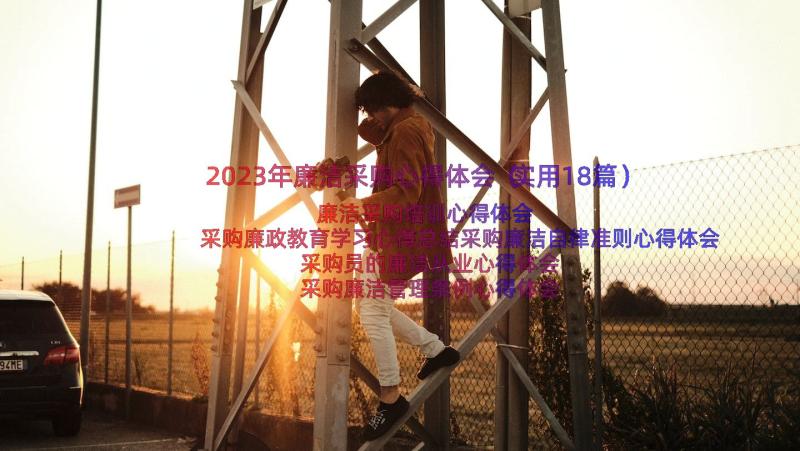 2023年廉洁采购心得体会（实用18篇）