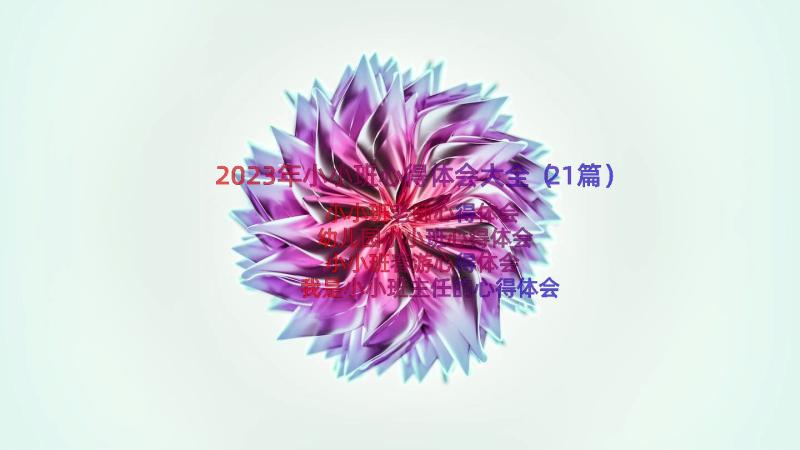 2023年小小班心得体会大全（21篇）